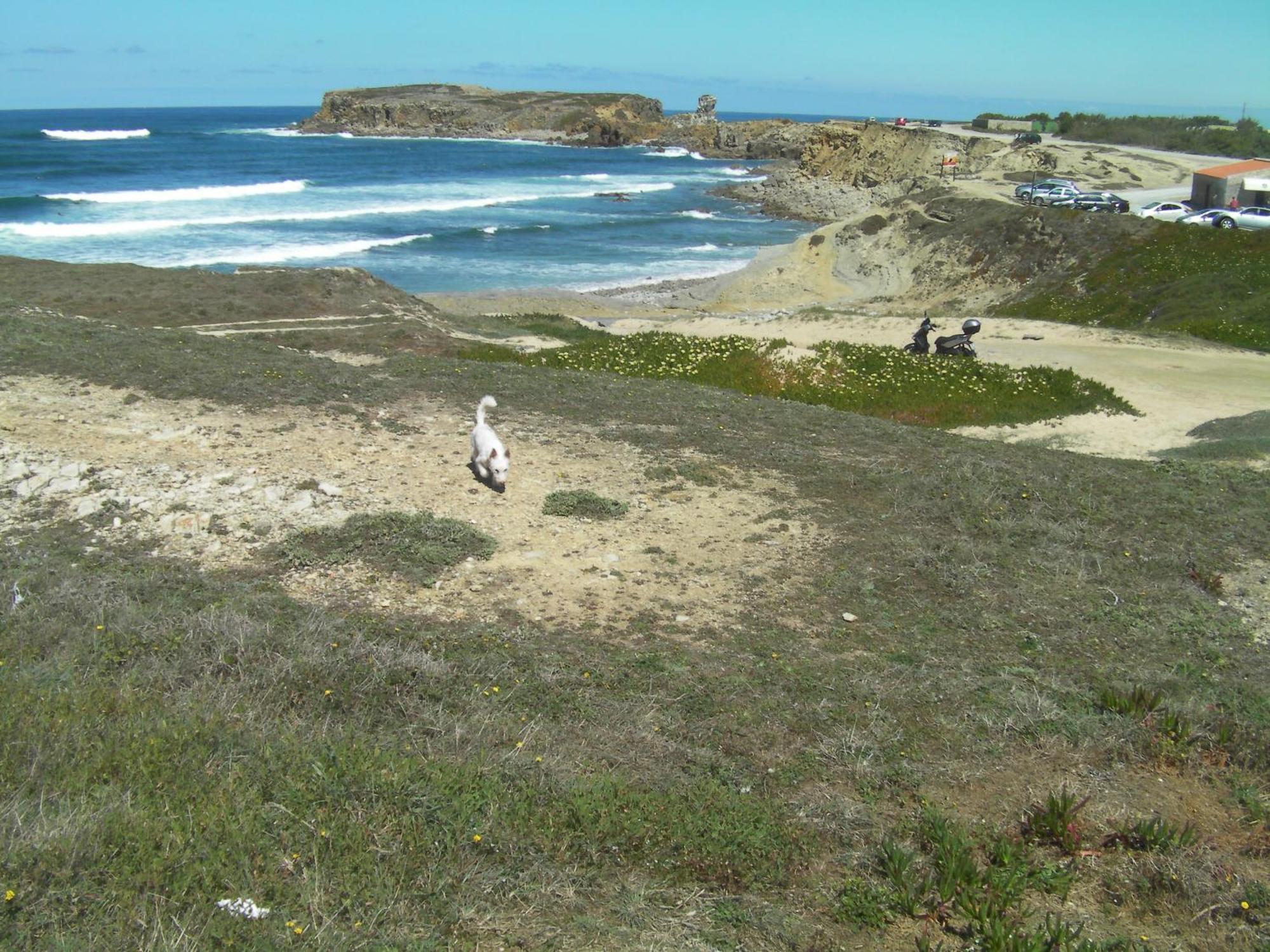 Peniche Surf Lodge 1 Εξωτερικό φωτογραφία
